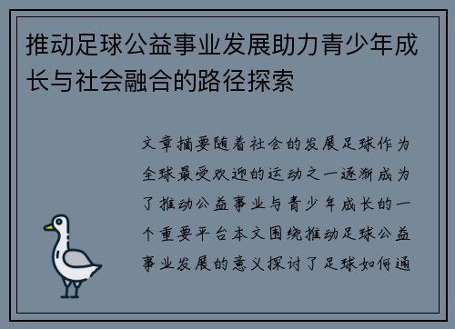 推动足球公益事业发展助力青少年成长与社会融合的路径探索 推动足球公益事业发展助力青少年成长与社会融合的路径探索