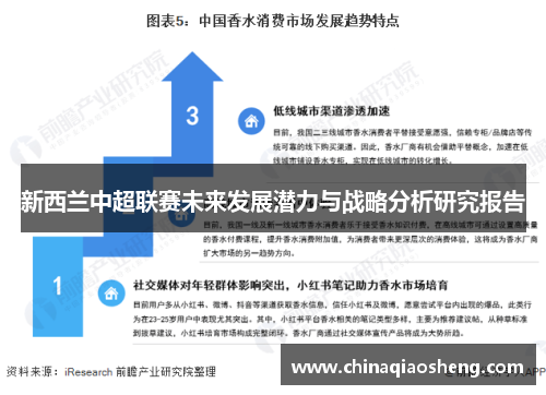 新西兰中超联赛未来发展潜力与战略分析研究报告 新西兰中超联赛未来发展潜力与战略分析研究报告