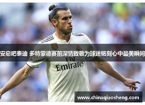 安息吧泰迪 多特蒙德赛前深情致敬为球迷铭刻心中最美瞬间 安息吧泰迪 多特蒙德赛前深情致敬为球迷铭刻心中最美瞬间