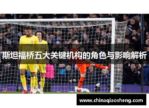 斯坦福桥五大关键机构的角色与影响解析