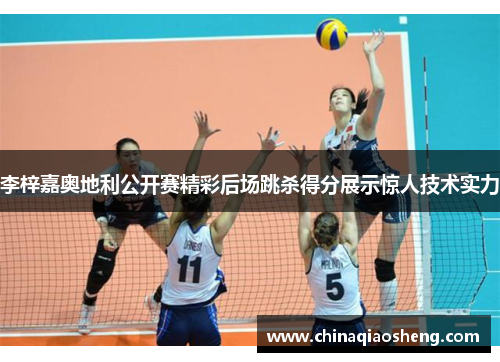 李梓嘉奥地利公开赛精彩后场跳杀得分展示惊人技术实力 李梓嘉奥地利公开赛精彩后场跳杀得分展示惊人技术实力